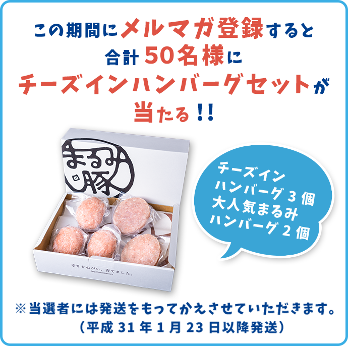 この期間にメルマガ登録すると合計50名様にチーズインハンバーグセットが当たる!!※当選者には発送をもってかえさせていただきます。(平成31年1月23日以降発送)