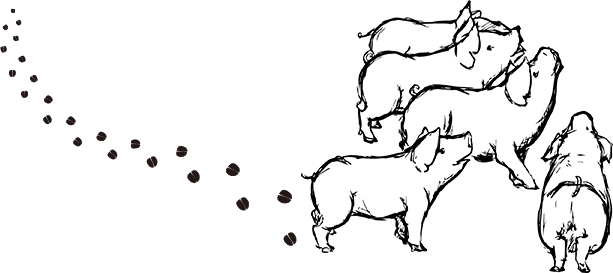 子豚