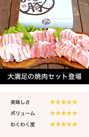 まるみ豚焼き肉セット1kg